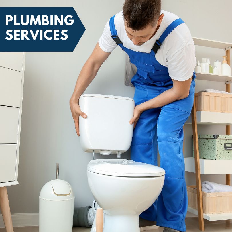 Plumbing Company in Ogden, IL